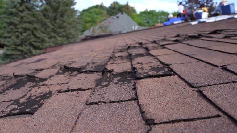 Best Rubber Roofing (EPDM, TPO)  in Robinson, IL