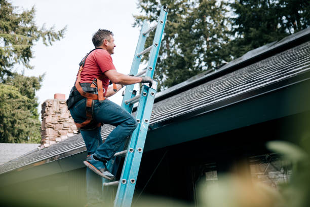 Best Sheet Metal Roofing  in Robinson, IL