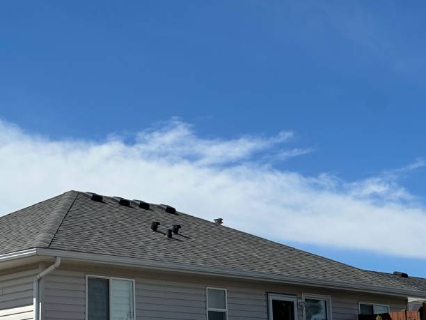 Best Flat Roofing  in Robinson, IL